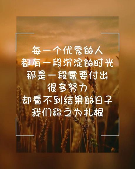 是但求其爱什么意思，是但求其爱什么意思，探究在生活中努力的价值