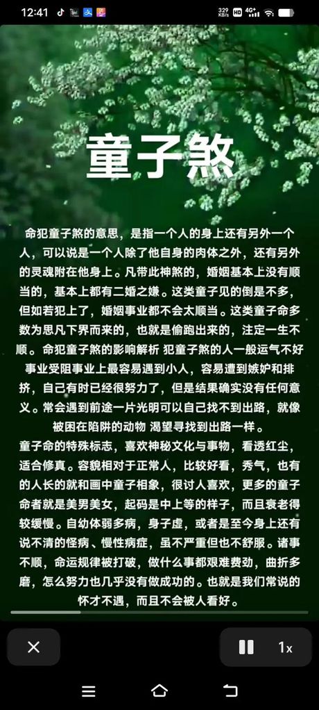 童子命，童子命的故事