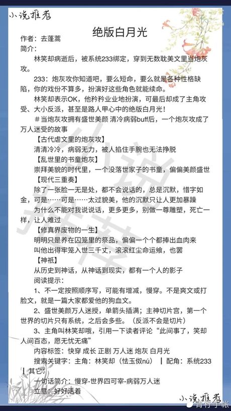 励志巨著《反客为主小说》：拼搏与奋斗的力量