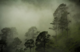 大同天气(探索大同天气的魅力)