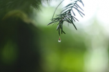 听雨石屋，舒缓心情